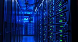 vps hosting price dynamics