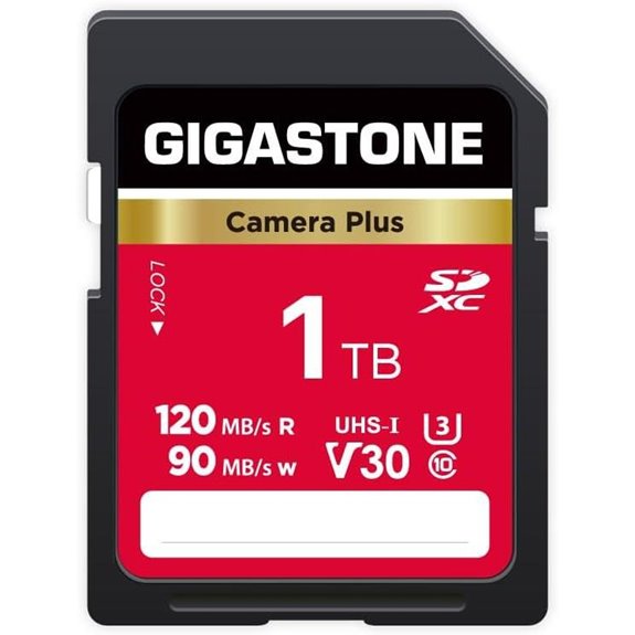 GIGASTONE 1TB V30 SDXC Card with Mini Case