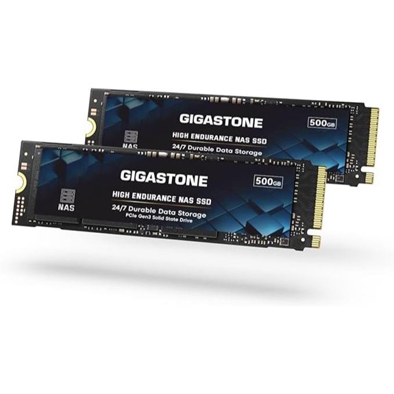 Gigastone 500GB M.2 NAS SSD (2-Pack)