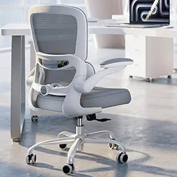 TRALT Ergonomic Mesh Office Chair with Lumbar Support