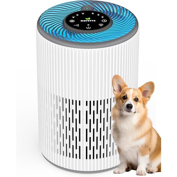 DAYETTE Air Purifier for Large Rooms with Fragrance Sponge