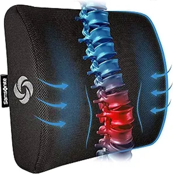 Samsonite Lumbar Support Pillow with Ventilated Mesh