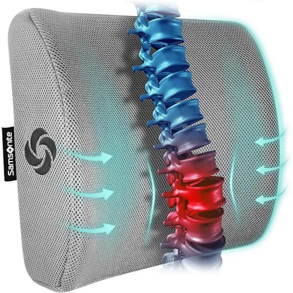 Samsonite Lumbar Support Pillow with Memory Foam