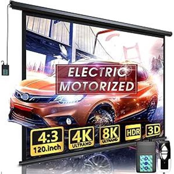 Motorized Indoor/Outdoor 120 Projector Screen