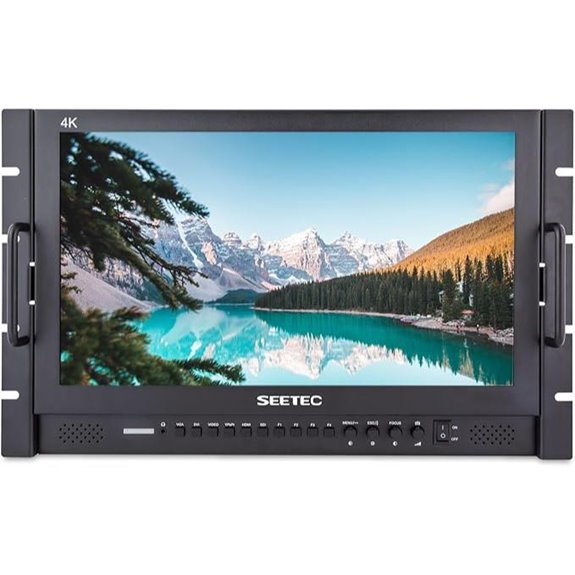 SEETEC 17.3 4K Broadcast LCD Monitor