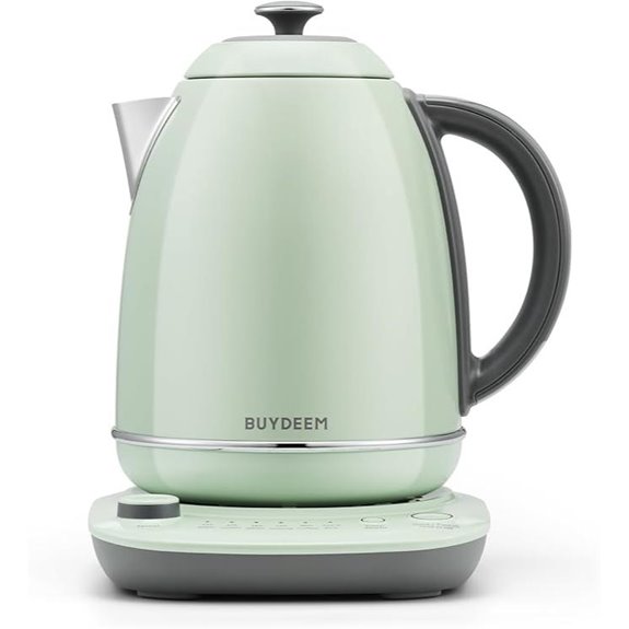 BUYDEEM K740 Electric Kettle with Temperature Control