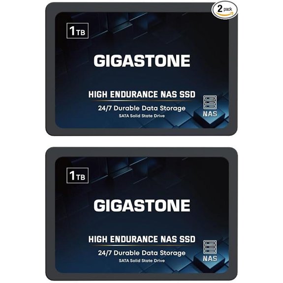 Gigastone 1TB NAS SSD Drives (2-Pack)