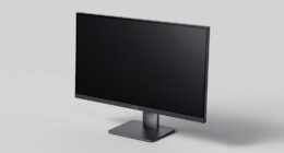 12 Best Best Thunderbolt Monitor in 2026